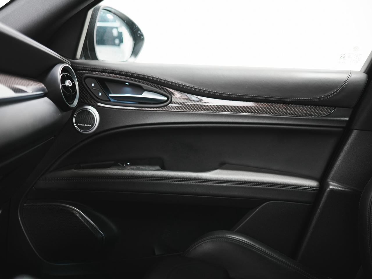 2022 Alfa Romeo Stelvio QUADRIFOGLIO | HARMAN KARDON | CARBON FIBER Photo