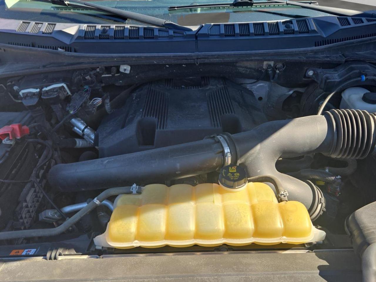 2019 Ford F-150 Limited  Photo