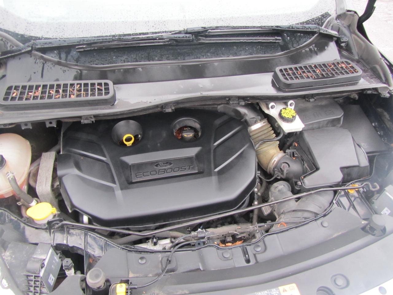 2017 Ford Escape SE FWD Photo