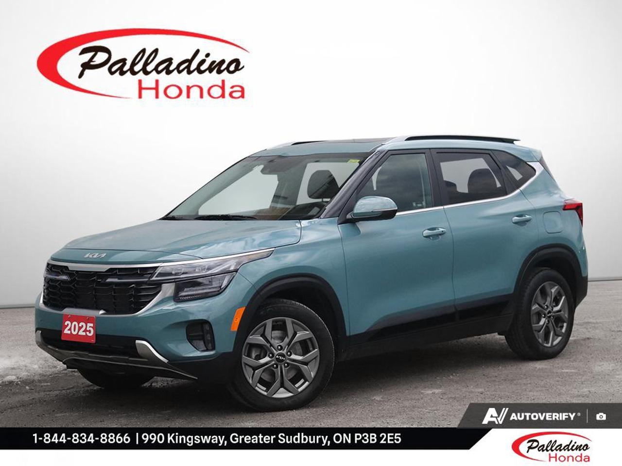 2025 Kia Seltos EX Photo