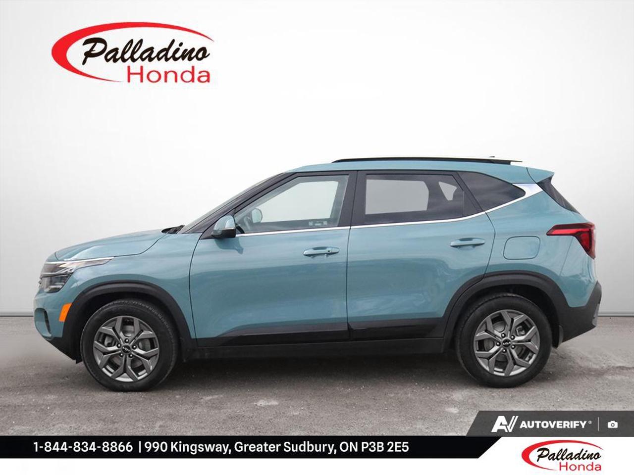 2025 Kia Seltos EX Photo