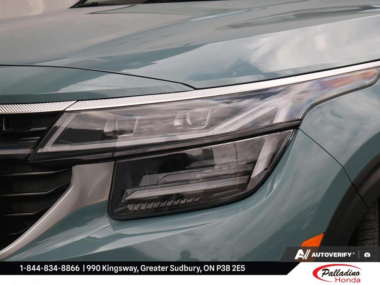 2025 Kia Seltos EX Photo