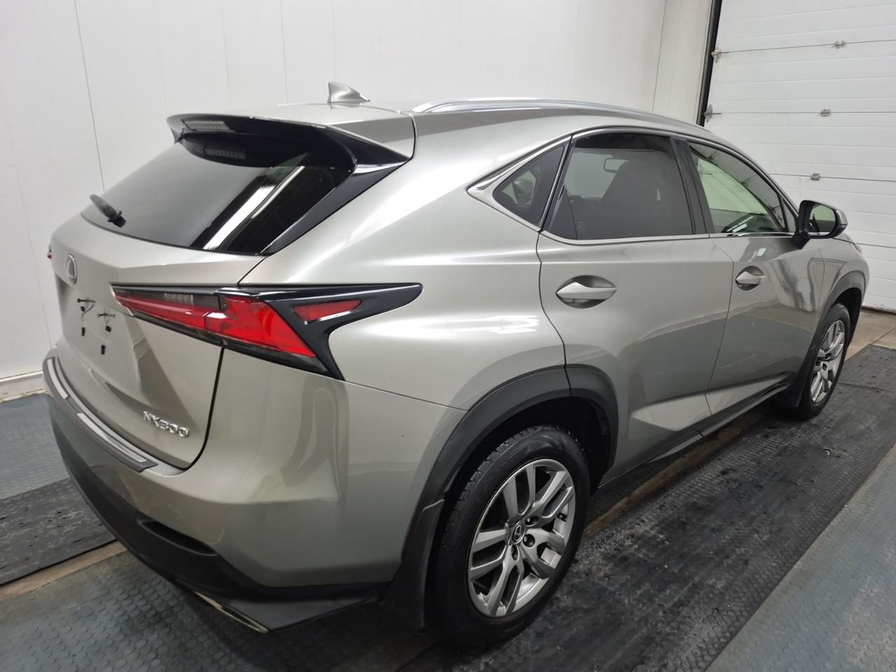 2019 Lexus NX 300 NX 300 | NO ACCIDENTS | LEXUS SERVICED Photo