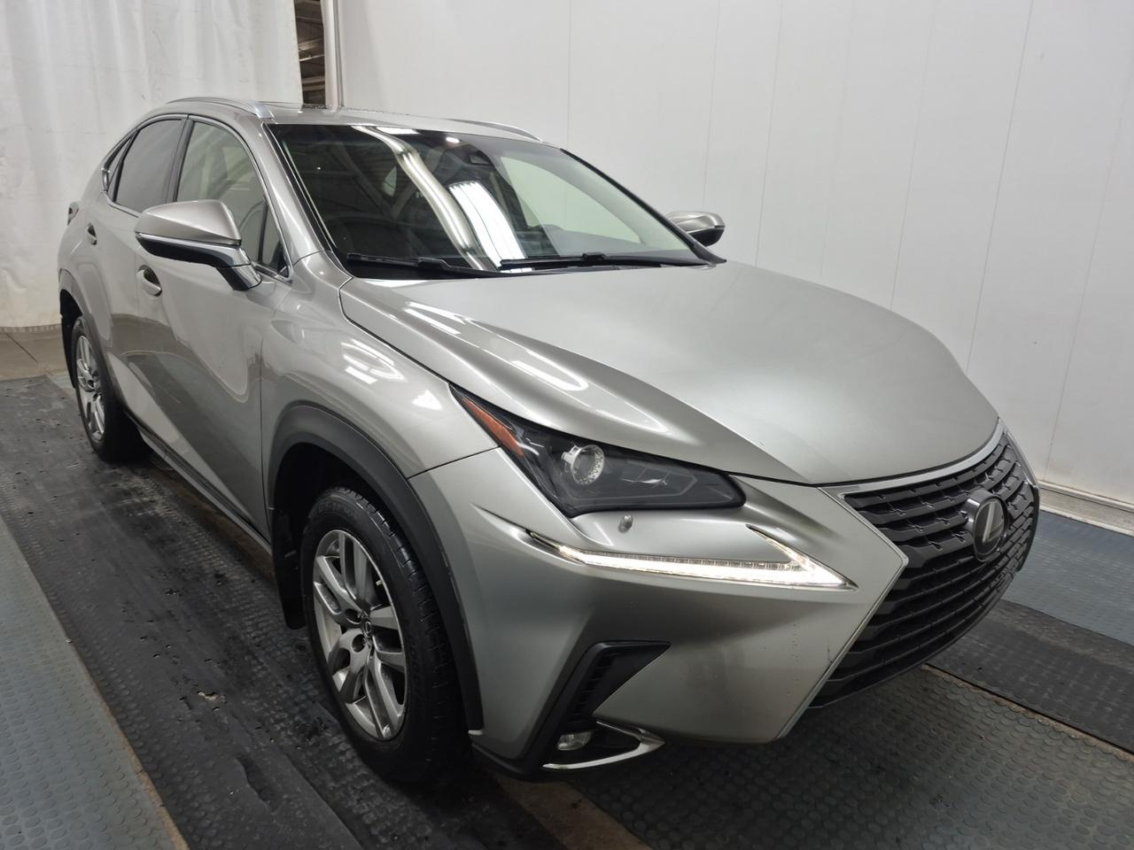 2019 Lexus NX 300 NX 300 | NO ACCIDENTS | LEXUS SERVICED Photo