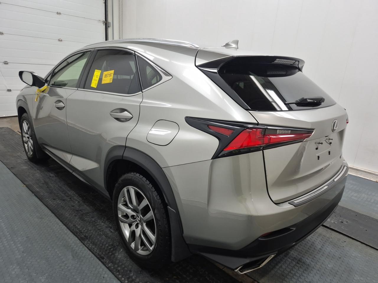 2019 Lexus NX 300 NX 300 | NO ACCIDENTS | LEXUS SERVICED Photo