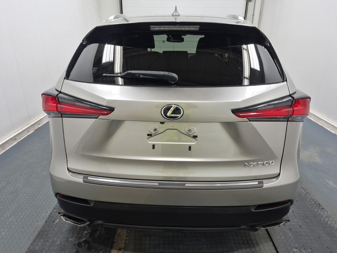 2019 Lexus NX 300 NX 300 | NO ACCIDENTS | LEXUS SERVICED Photo