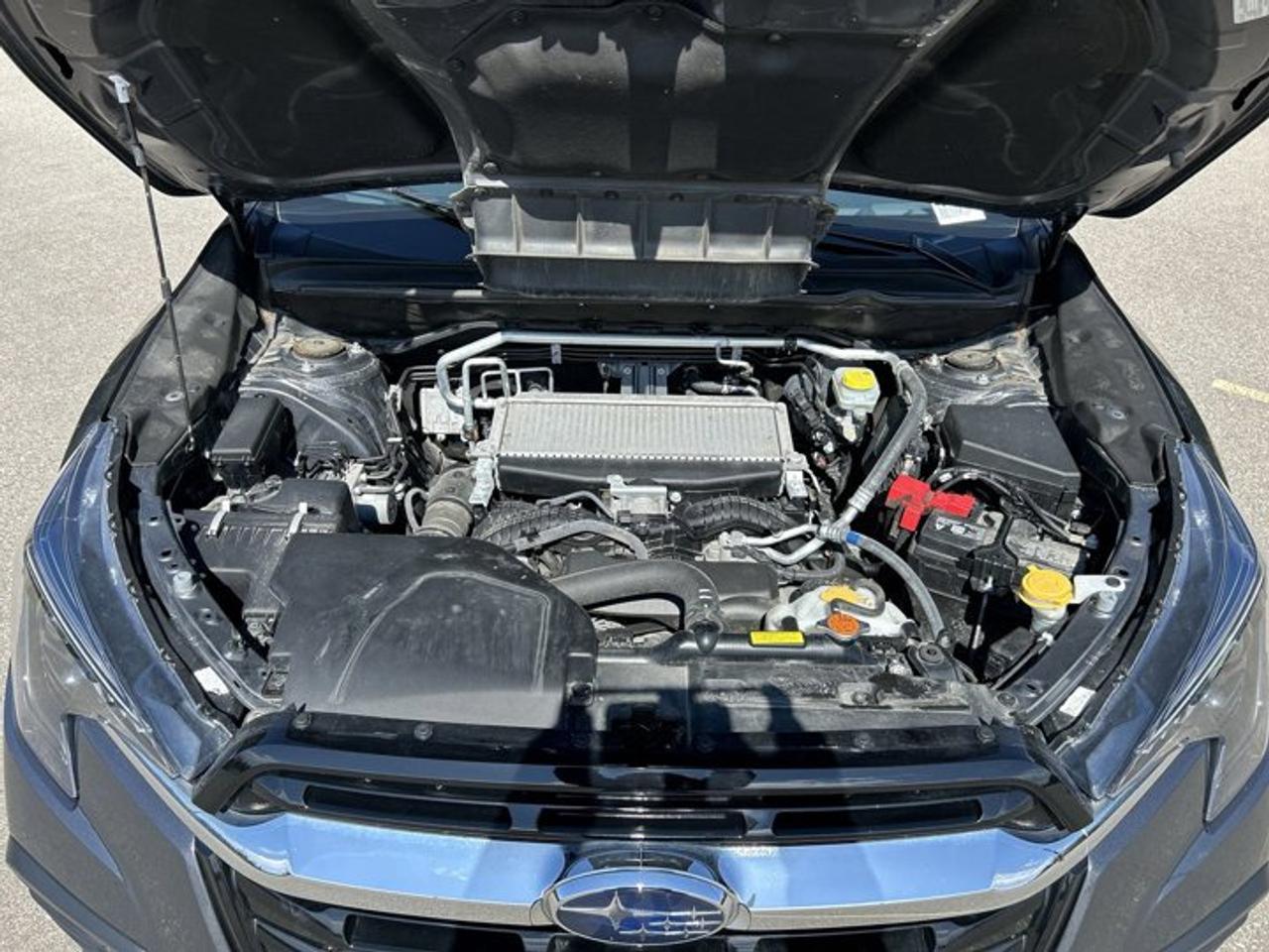 2025 Subaru ASCENT Limited | No Accidents | Panoramic Sunroof | Leather Seats Photo