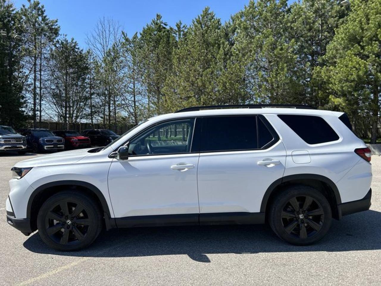 2025 Honda Pilot Black Edition AWD | No Accidents | Panoramic Sunroof Photo