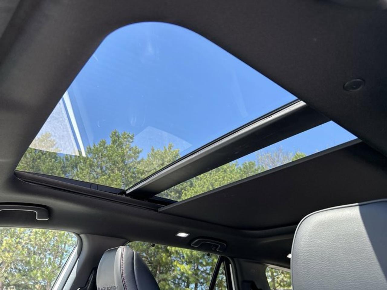 2025 Honda Pilot Black Edition AWD | No Accidents | Panoramic Sunroof Photo