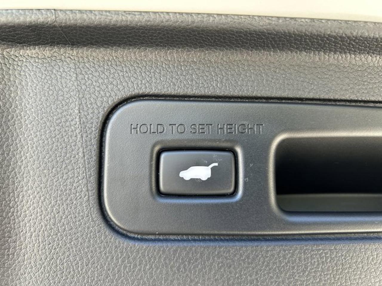 2025 Honda Pilot Black Edition AWD | No Accidents | Panoramic Sunroof Photo