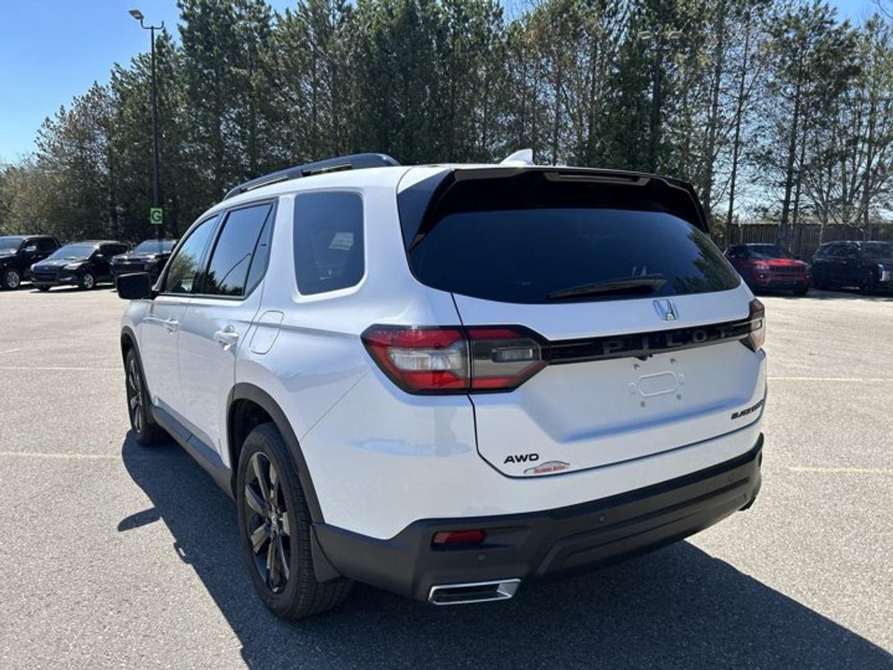 2025 Honda Pilot Black Edition AWD | No Accidents | Panoramic Sunroof Photo