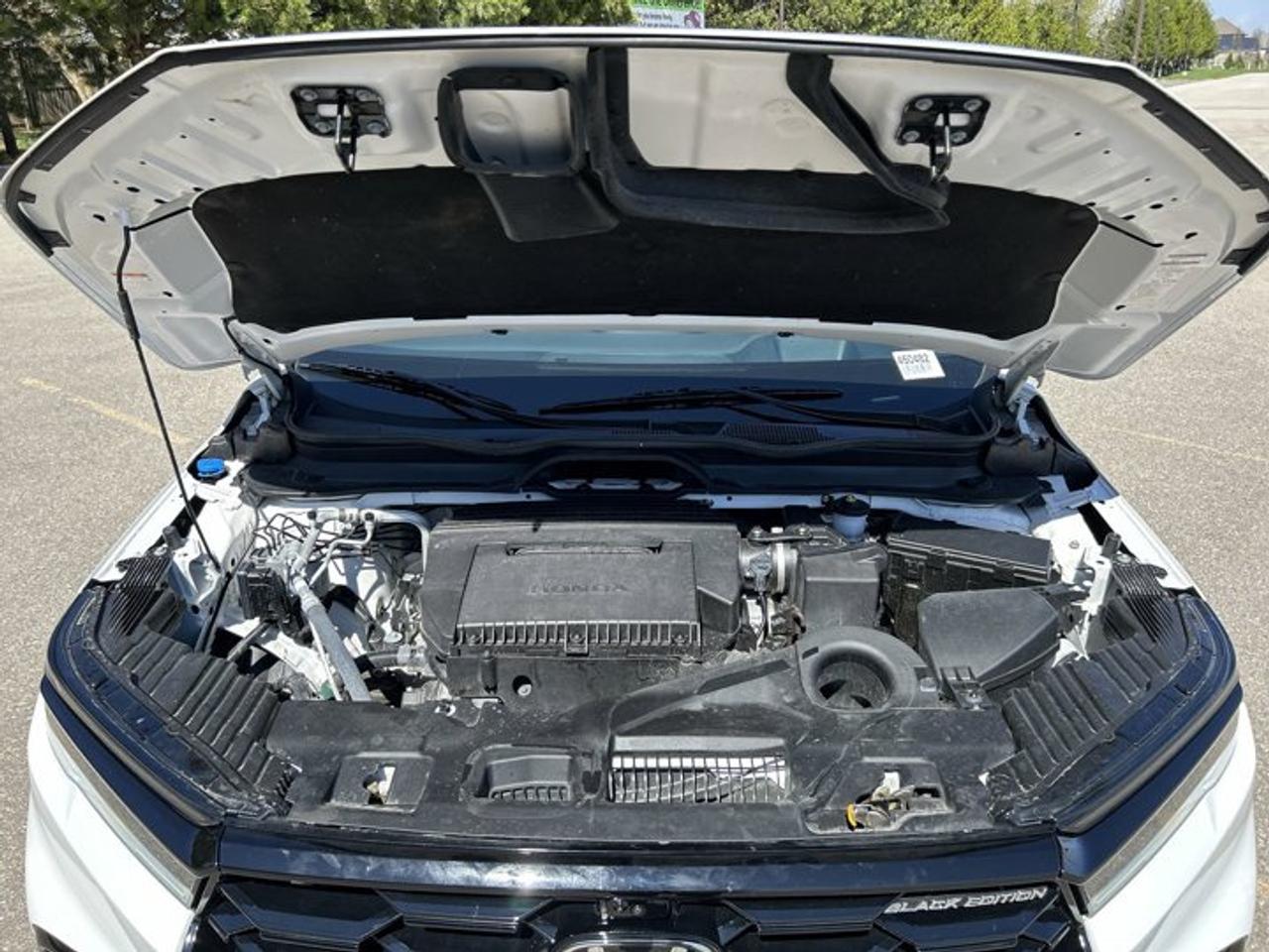 2025 Honda Pilot Black Edition AWD | No Accidents | Panoramic Sunroof Photo