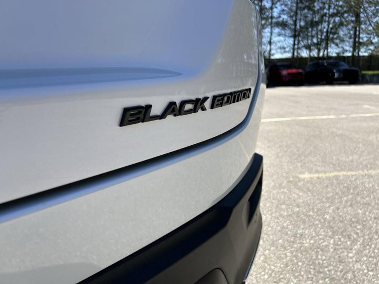 2025 Honda Pilot Black Edition AWD | No Accidents | Panoramic Sunroof Photo