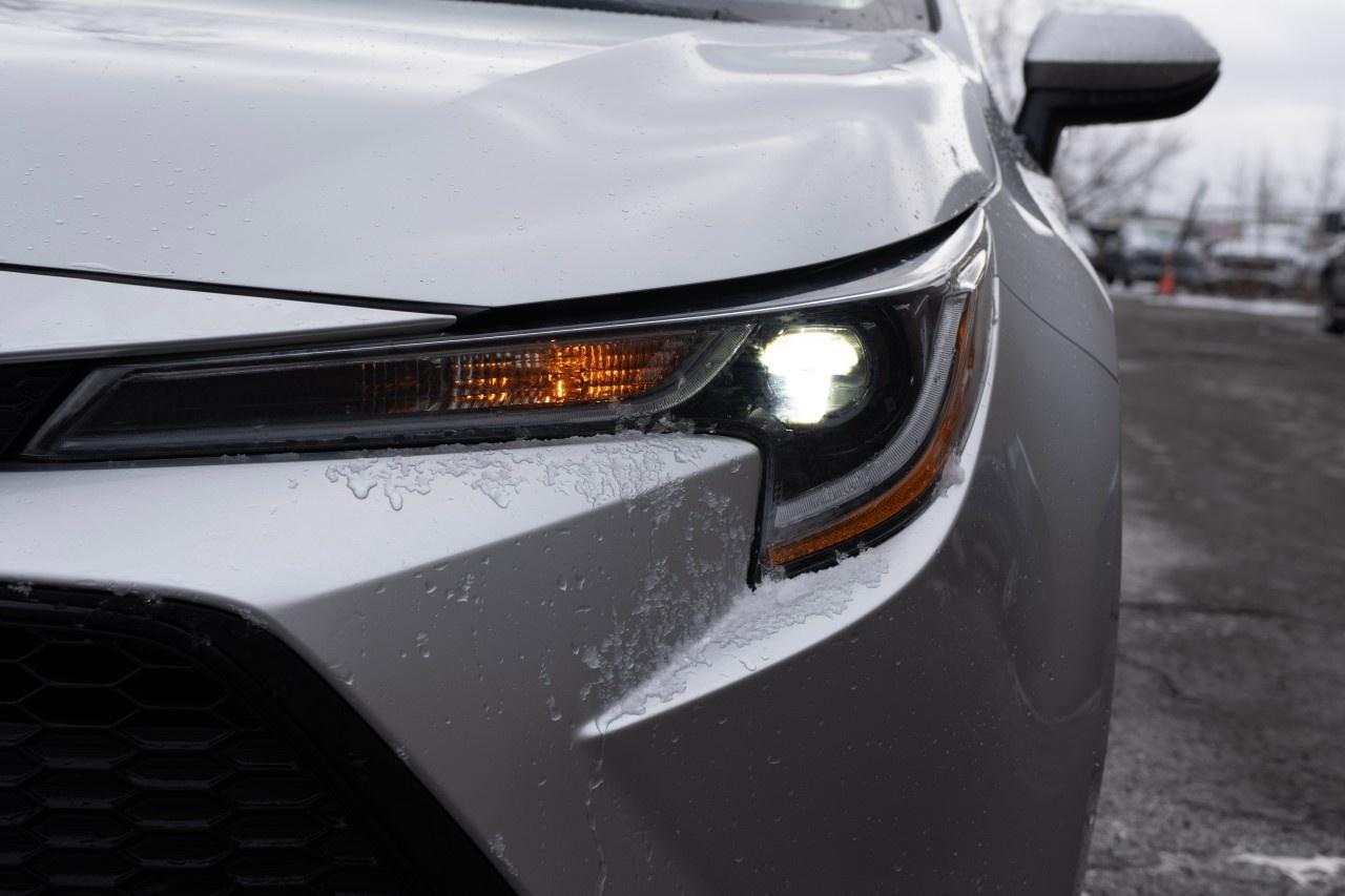 2021 Toyota Corolla  Photo