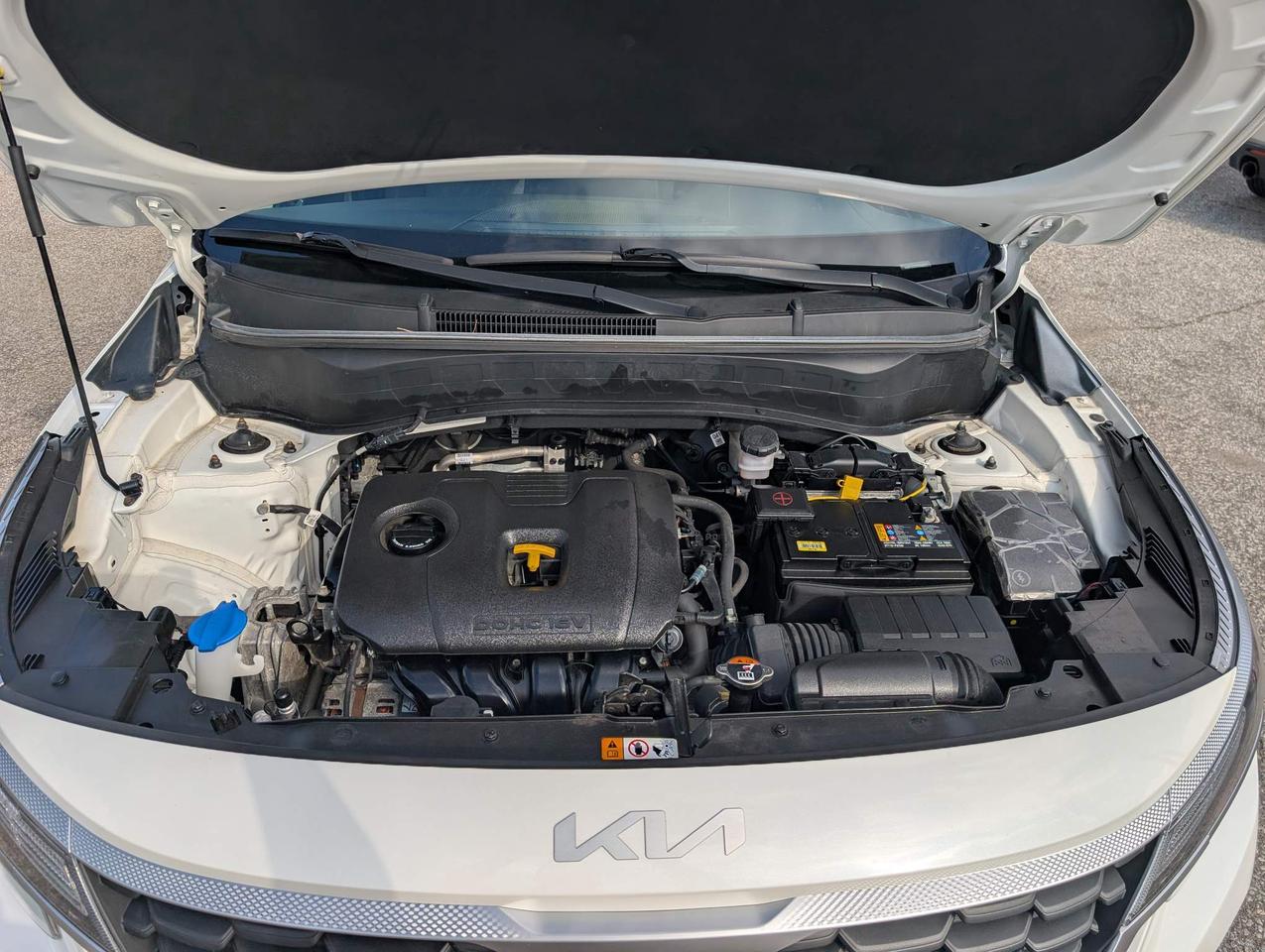 2022 Kia Seltos LX 4dr All-Wheel Drive Photo