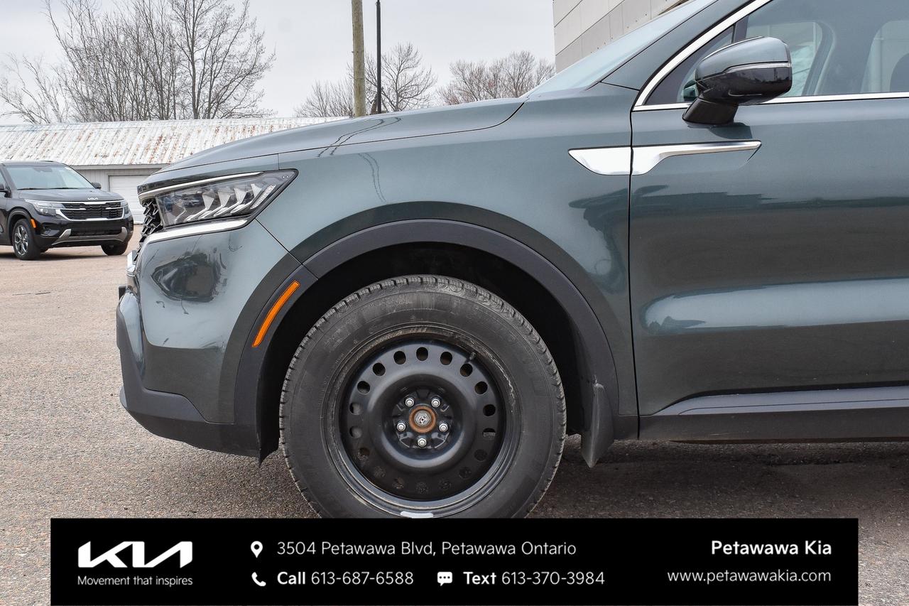 2023 Kia Sorento  Photo