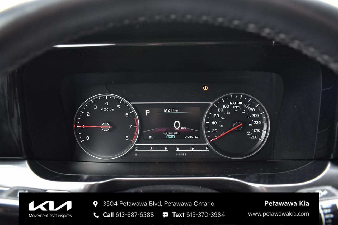 2023 Kia Sorento  Photo