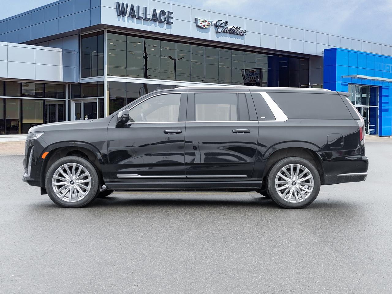 2023 Cadillac Escalade ESV Premium   Diesel   Sunroof   Super cruise Photo