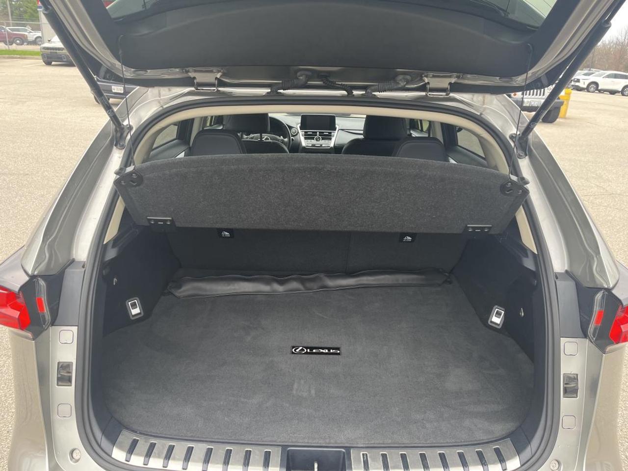 2020 Lexus NX 300 AWD Photo
