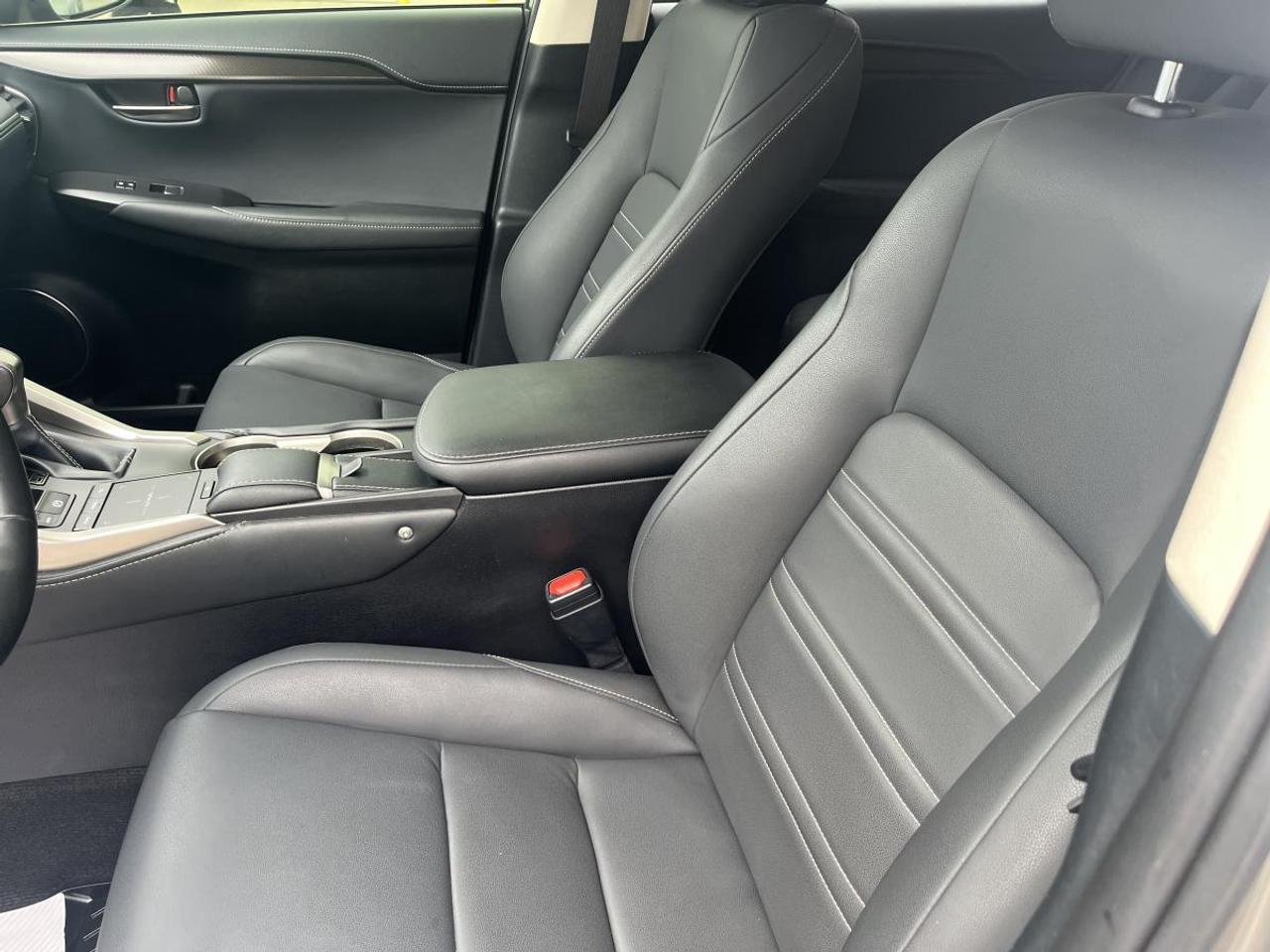 2020 Lexus NX 300 AWD Photo