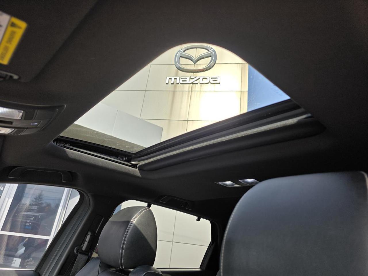 2021 Mazda CX-9 Gt 360 Camera 7 Photo