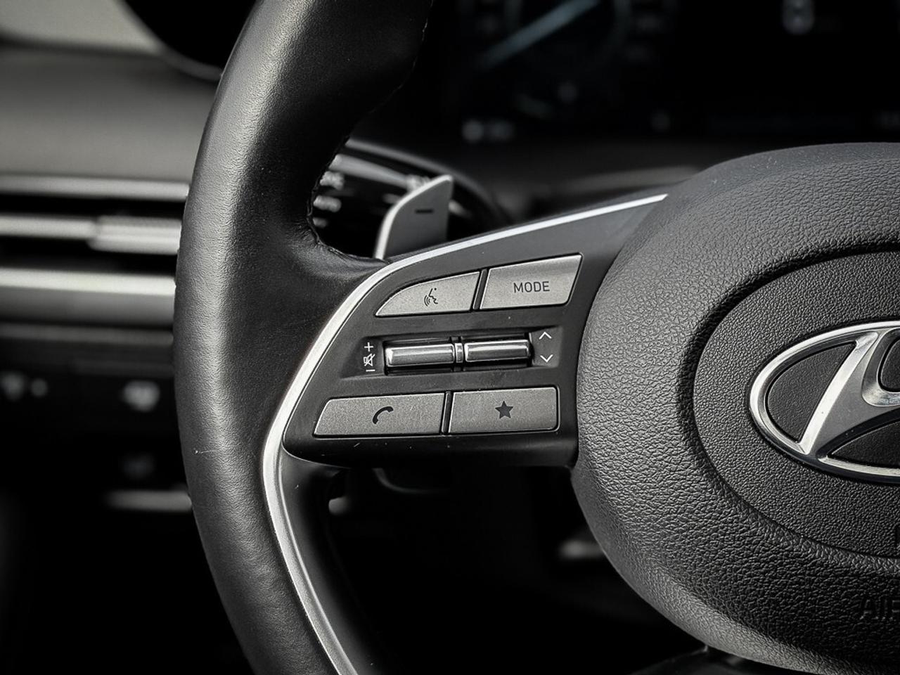 2025 Hyundai PALISADE Urban 7 Passenger   AWD   BLINDSPOT   LANE KEEP Photo