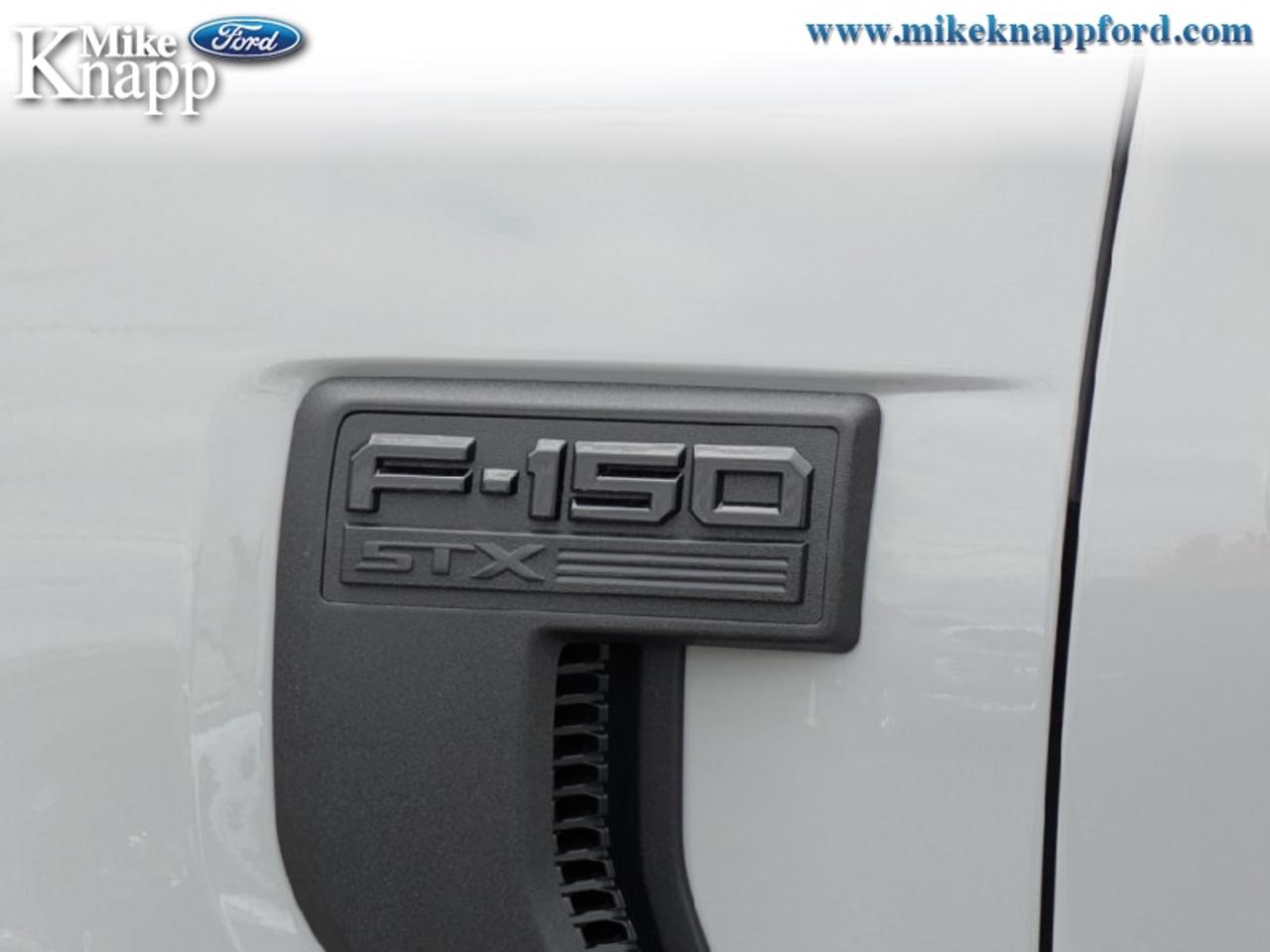 2026 Ford F-150 STX Photo