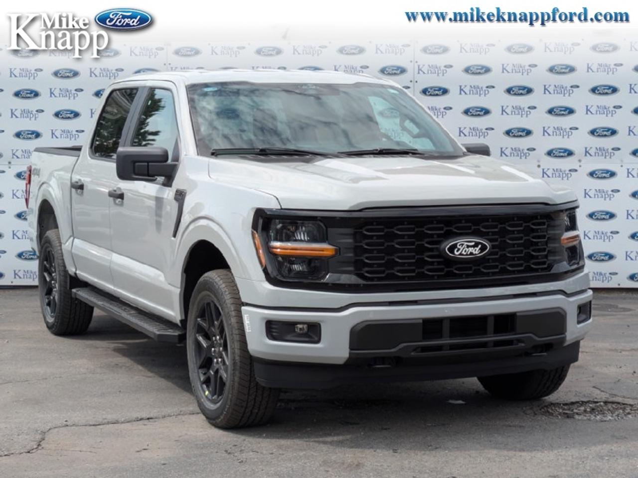 2026 Ford F-150 STX Photo
