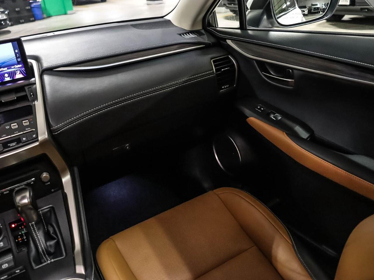 2018 Lexus NX NX 300 Auto Photo