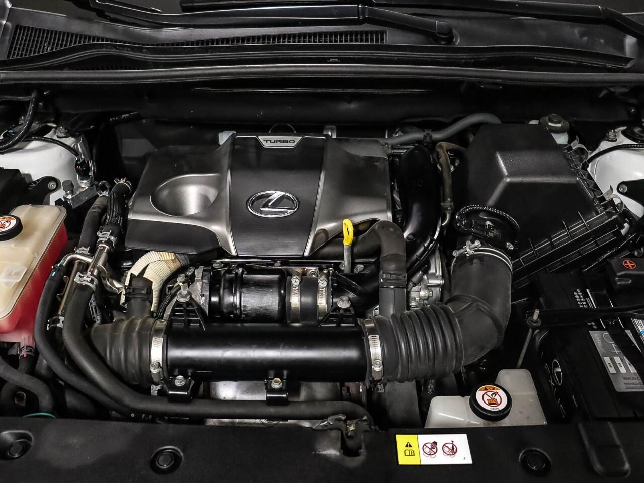 2018 Lexus NX NX 300 Auto Photo