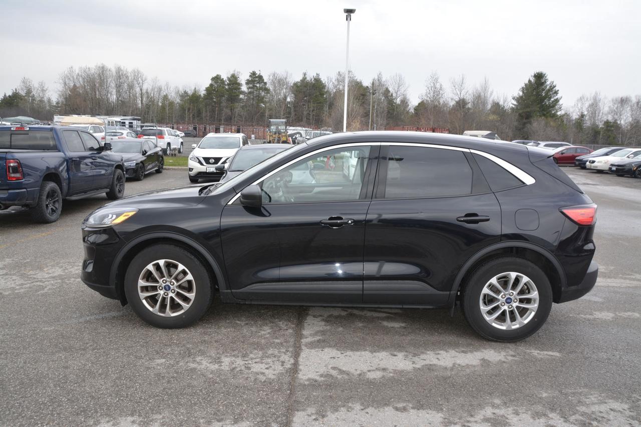 2022 Ford Escape SE FWD Photo