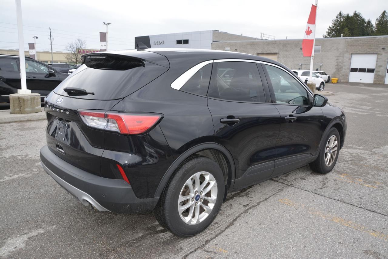 2022 Ford Escape SE FWD Photo