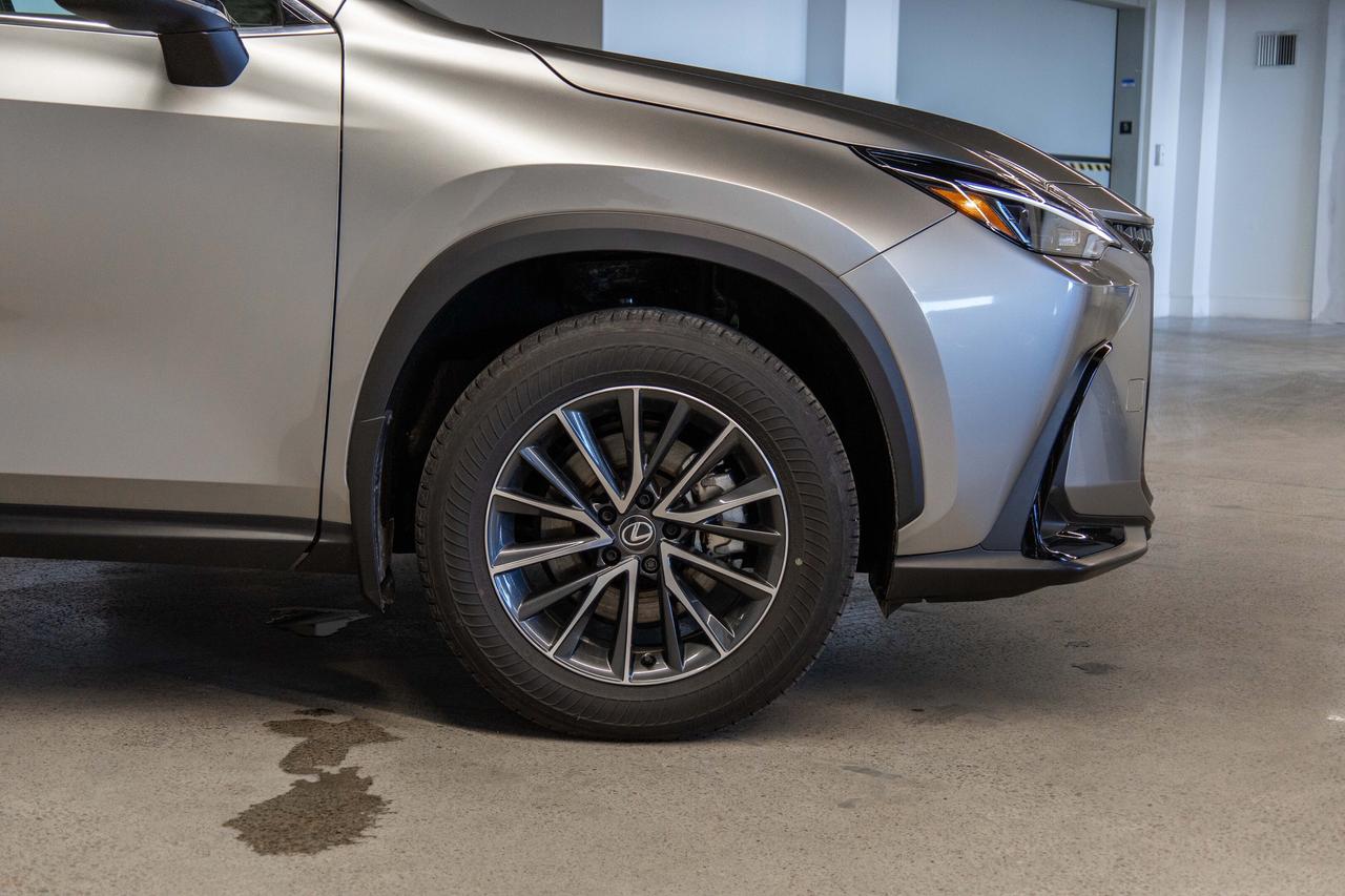 2025 Lexus NX 350 Premium Pkg Lexus Certified Welcome Trades Photo