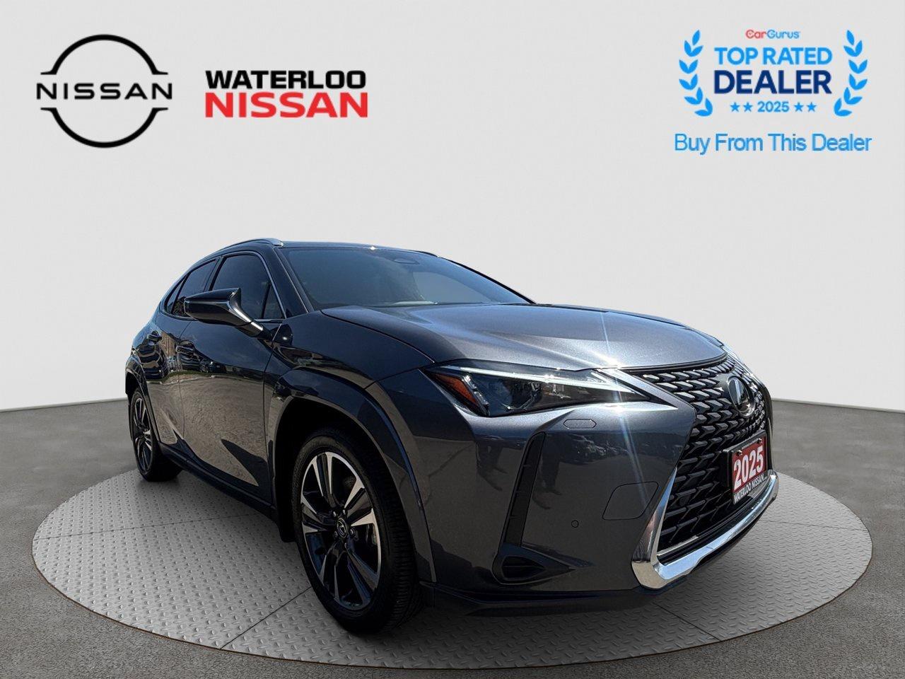 2025 Lexus UX UX 300h Photo