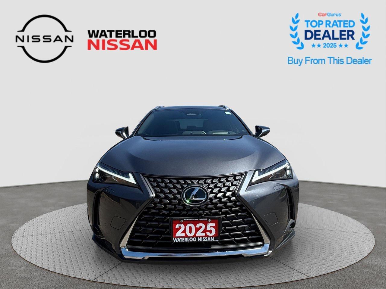 2025 Lexus UX UX 300h Photo