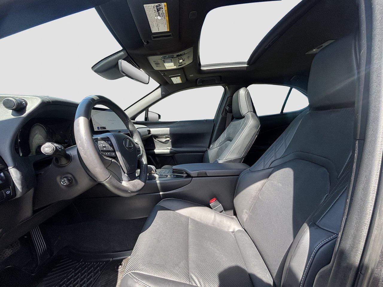2025 Lexus UX UX 300h Photo