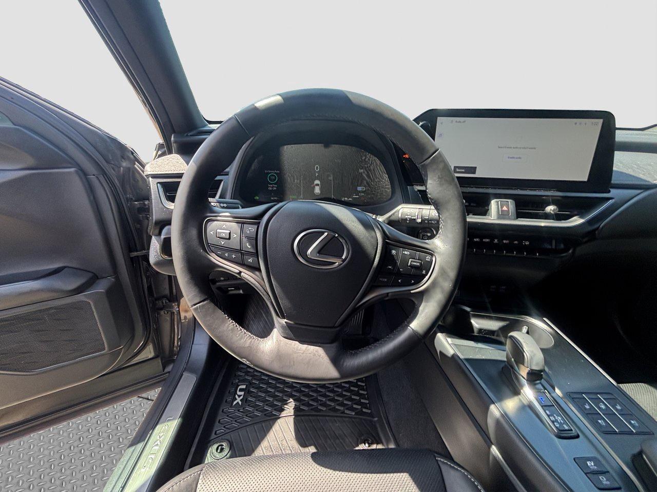 2025 Lexus UX UX 300h Photo