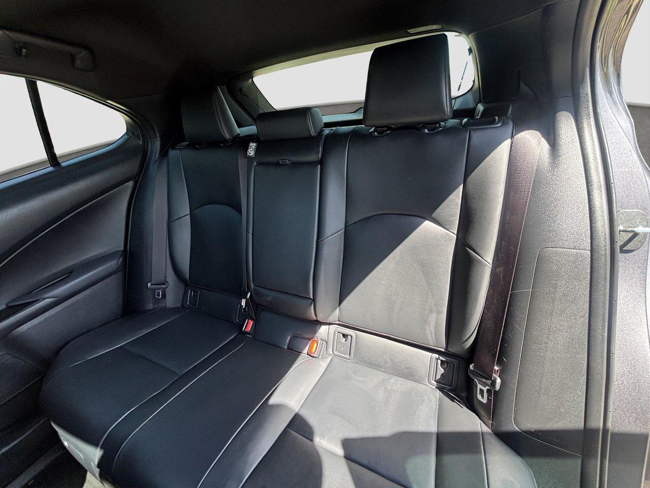 2025 Lexus UX UX 300h Photo