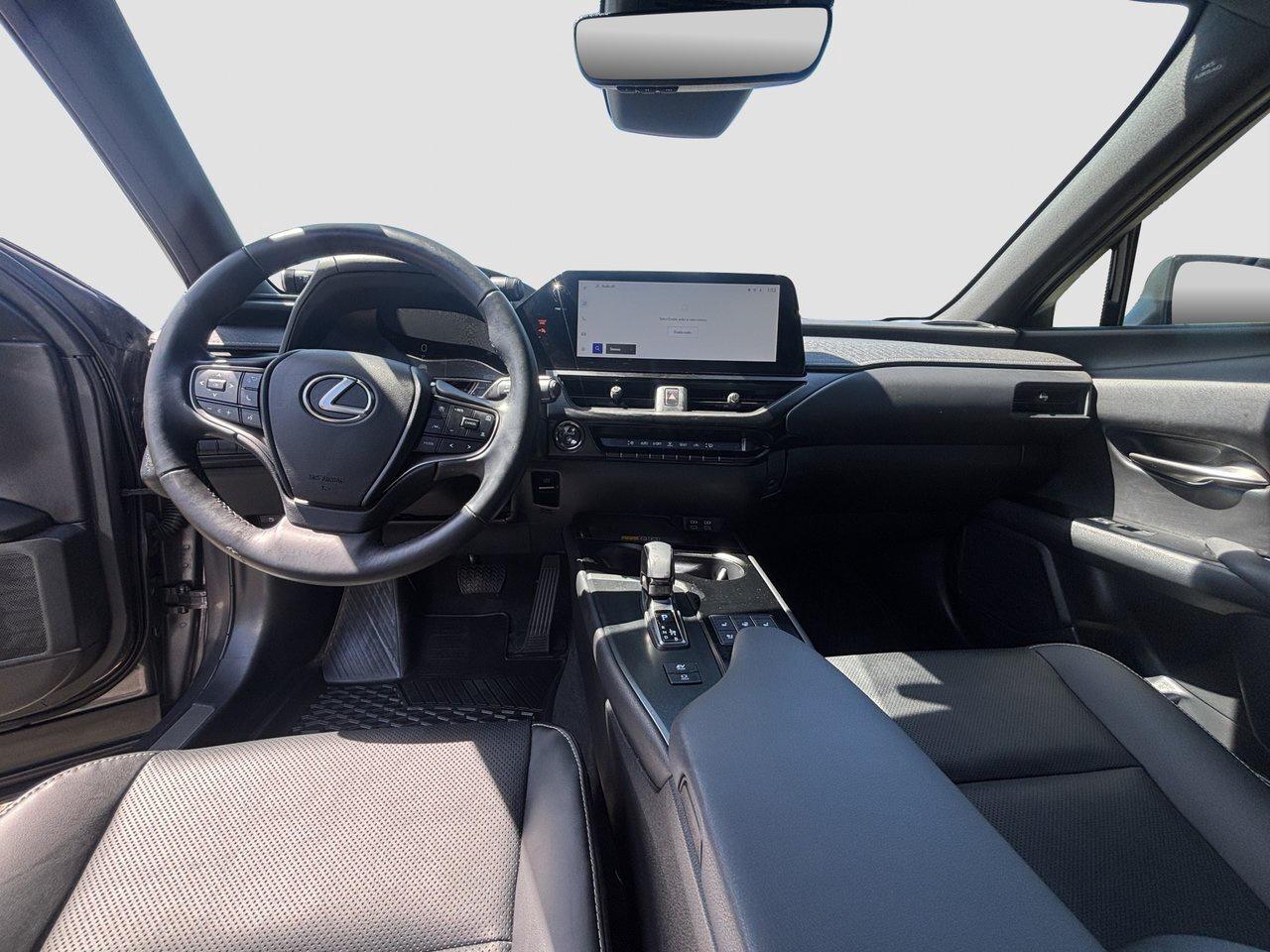 2025 Lexus UX UX 300h Photo