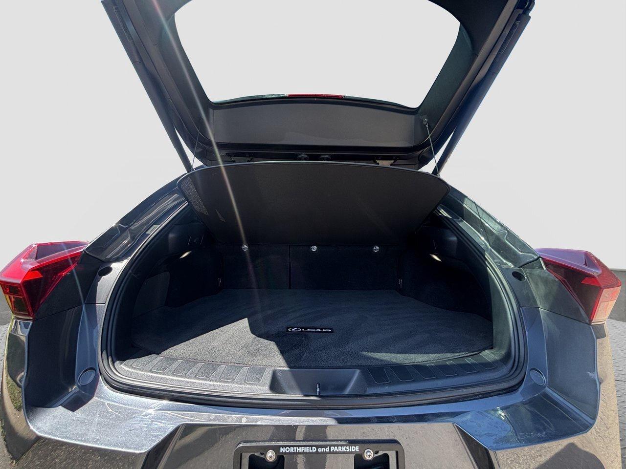 2025 Lexus UX UX 300h Photo