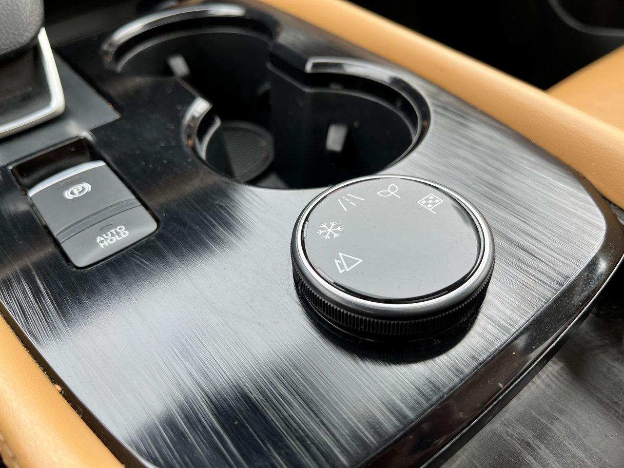 2021 Nissan Rogue Platinum AWD Photo