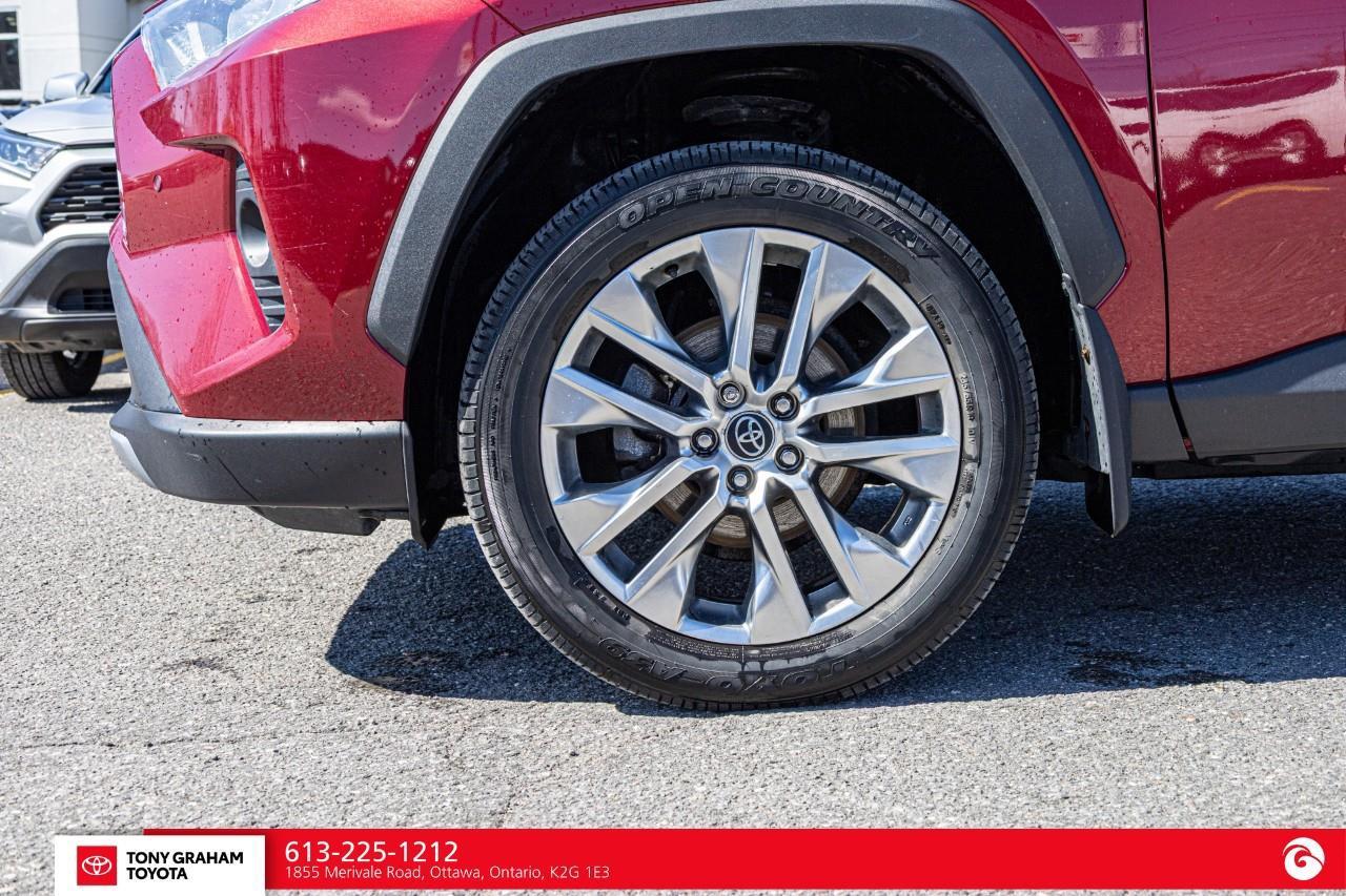 2019 Toyota RAV4 LIMITED  Photo
