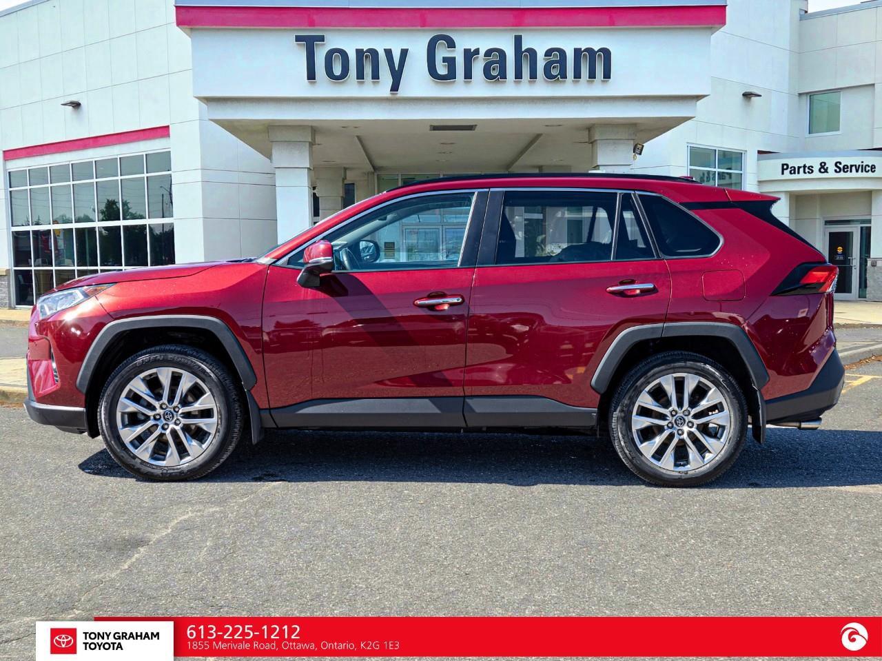 2019 Toyota RAV4 LIMITED  Photo