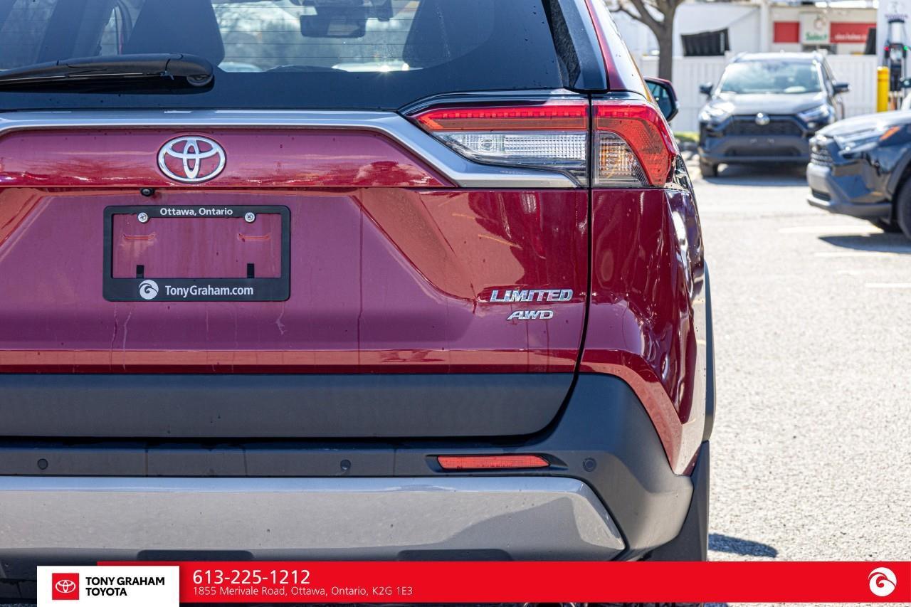 2019 Toyota RAV4 LIMITED  Photo