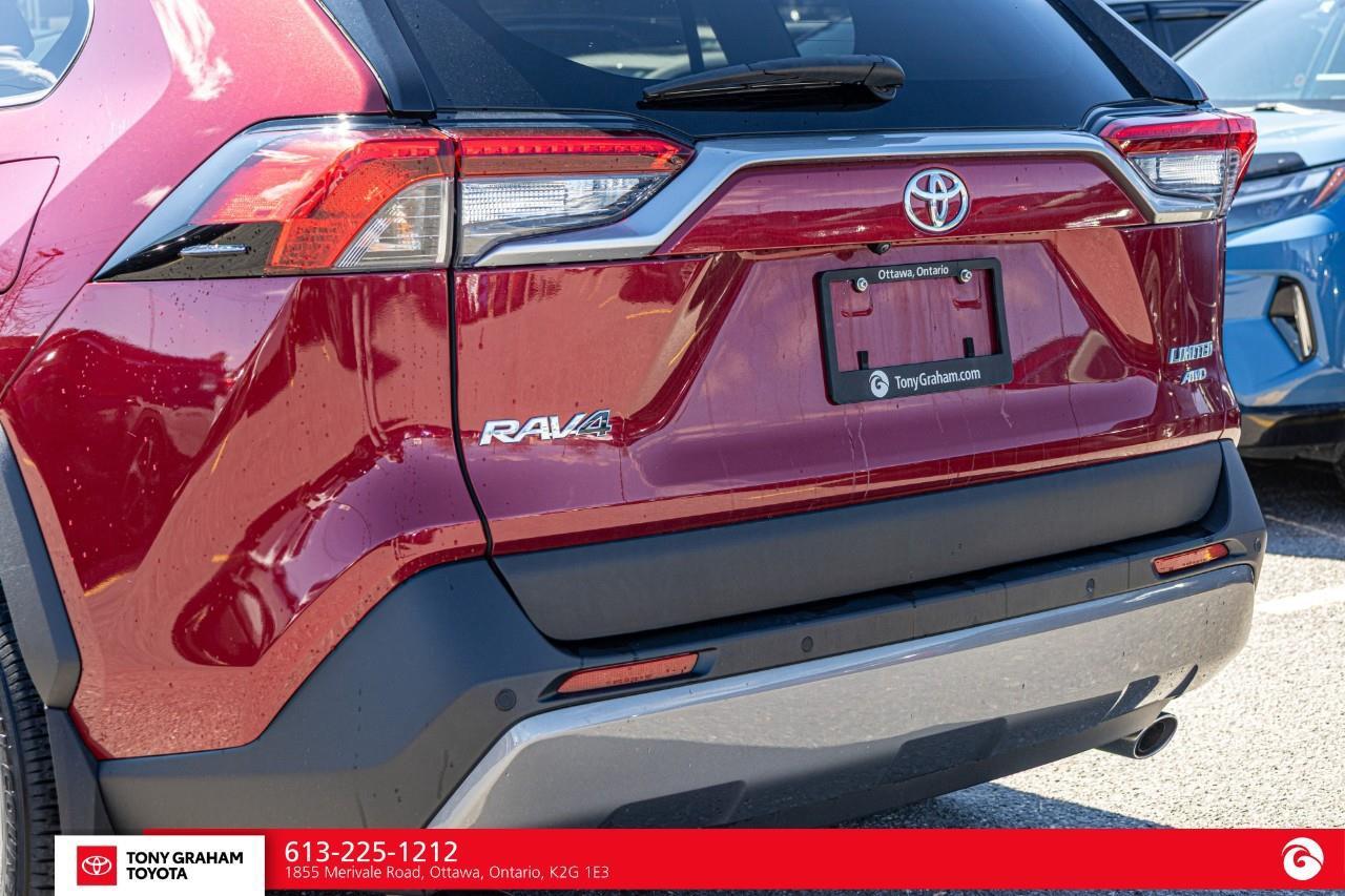 2019 Toyota RAV4 LIMITED  Photo