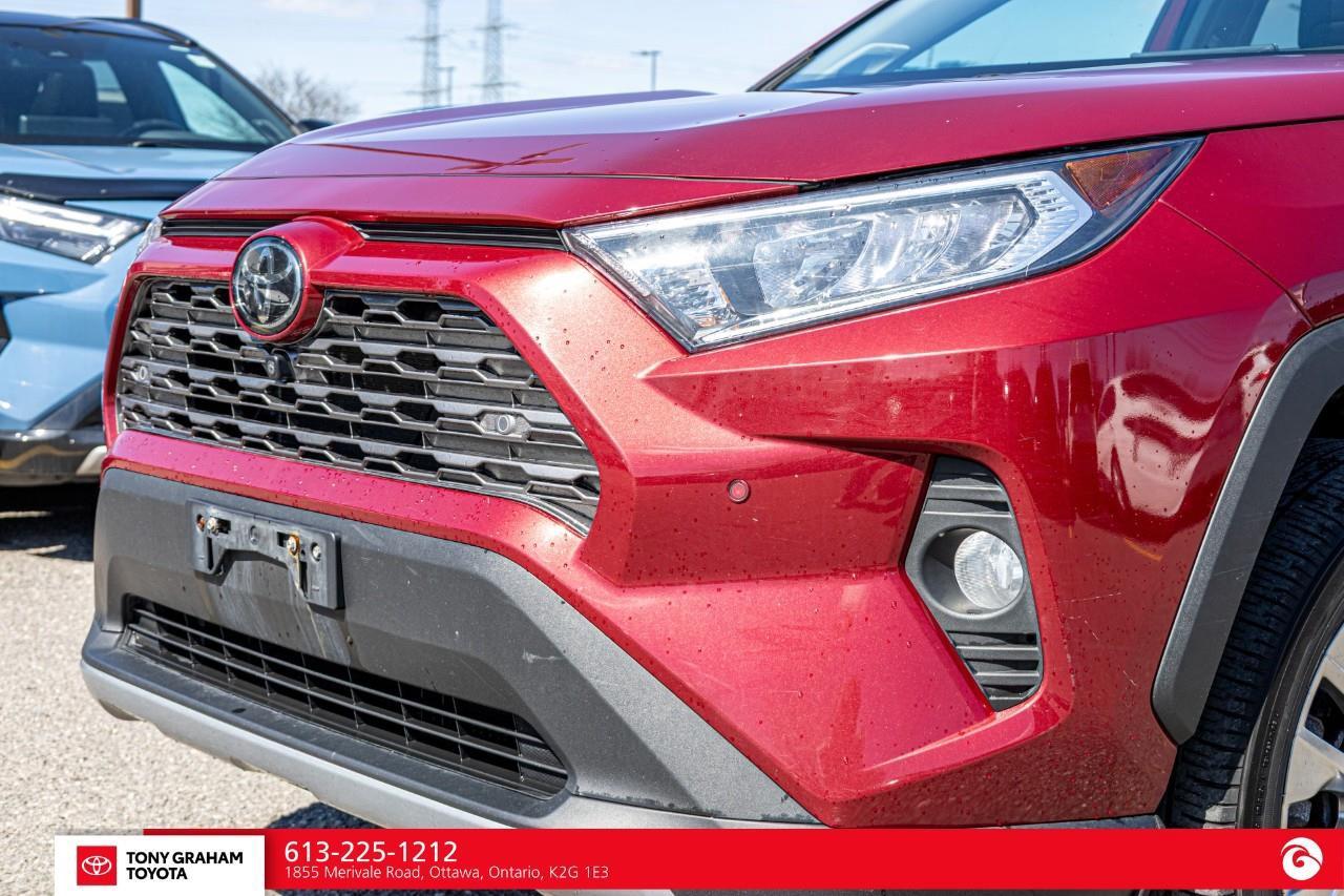 2019 Toyota RAV4 LIMITED  Photo