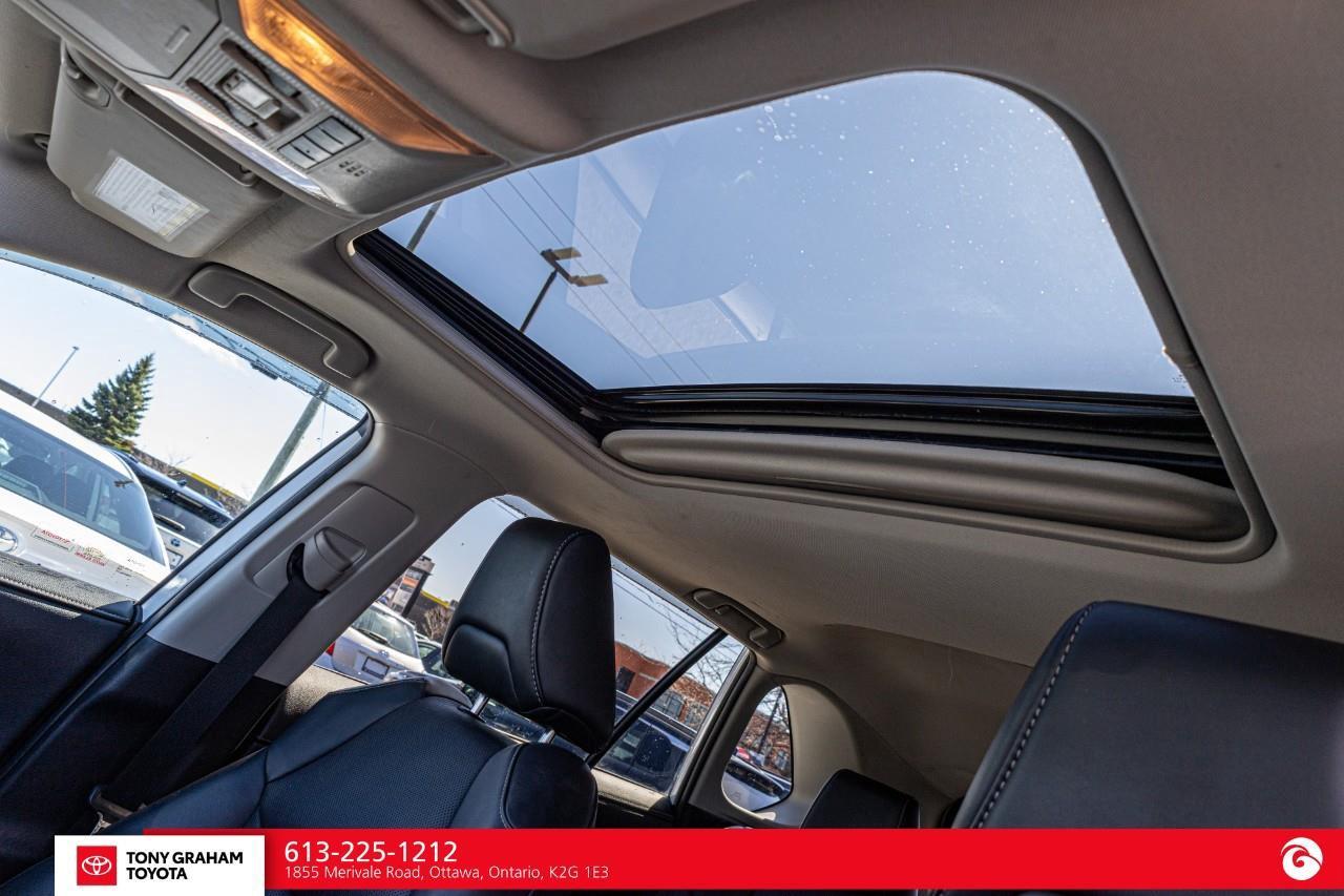 2019 Toyota RAV4 LIMITED  Photo