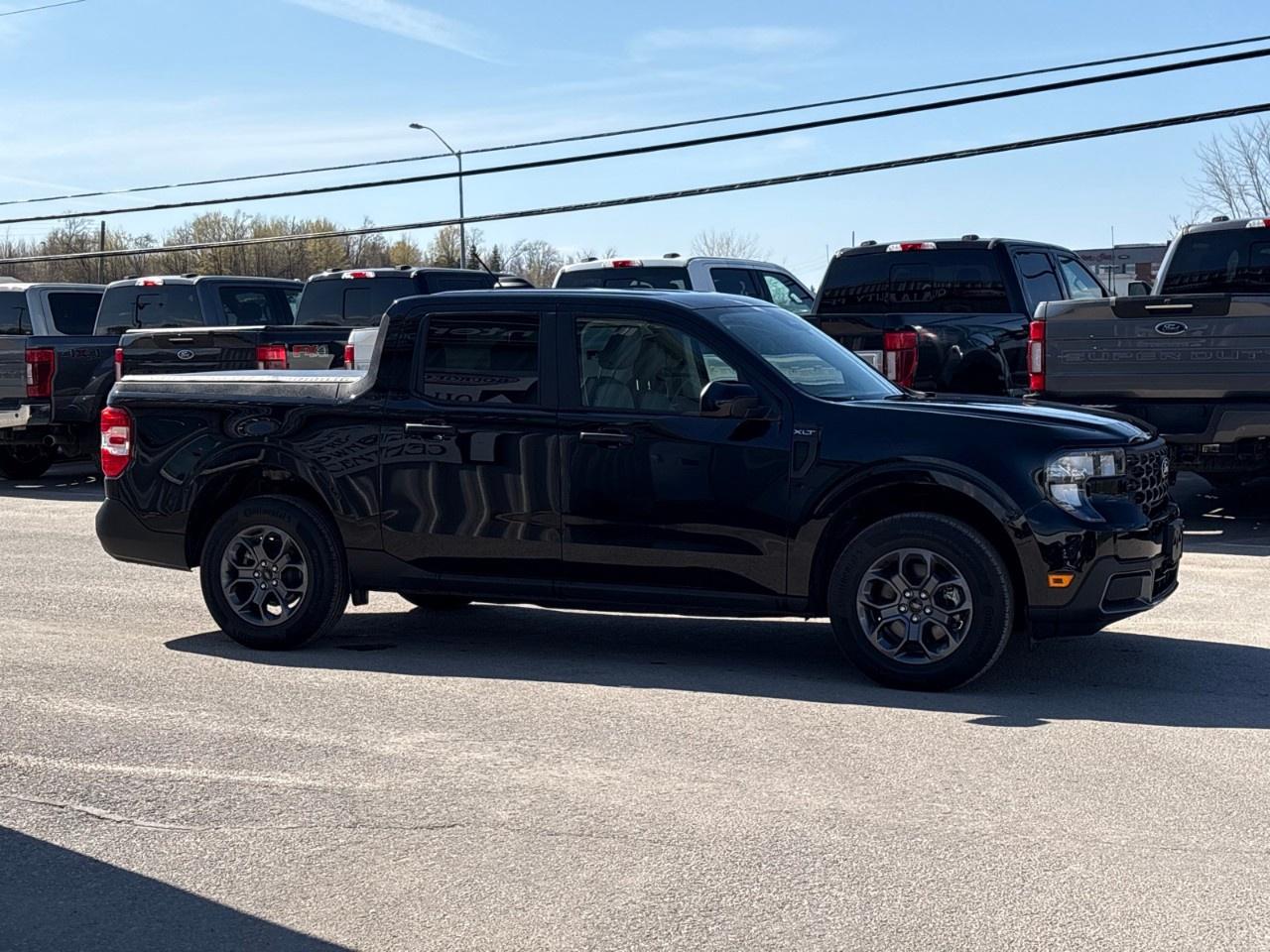 2025 Ford Maverick XLT AWD SuperCrew Photo