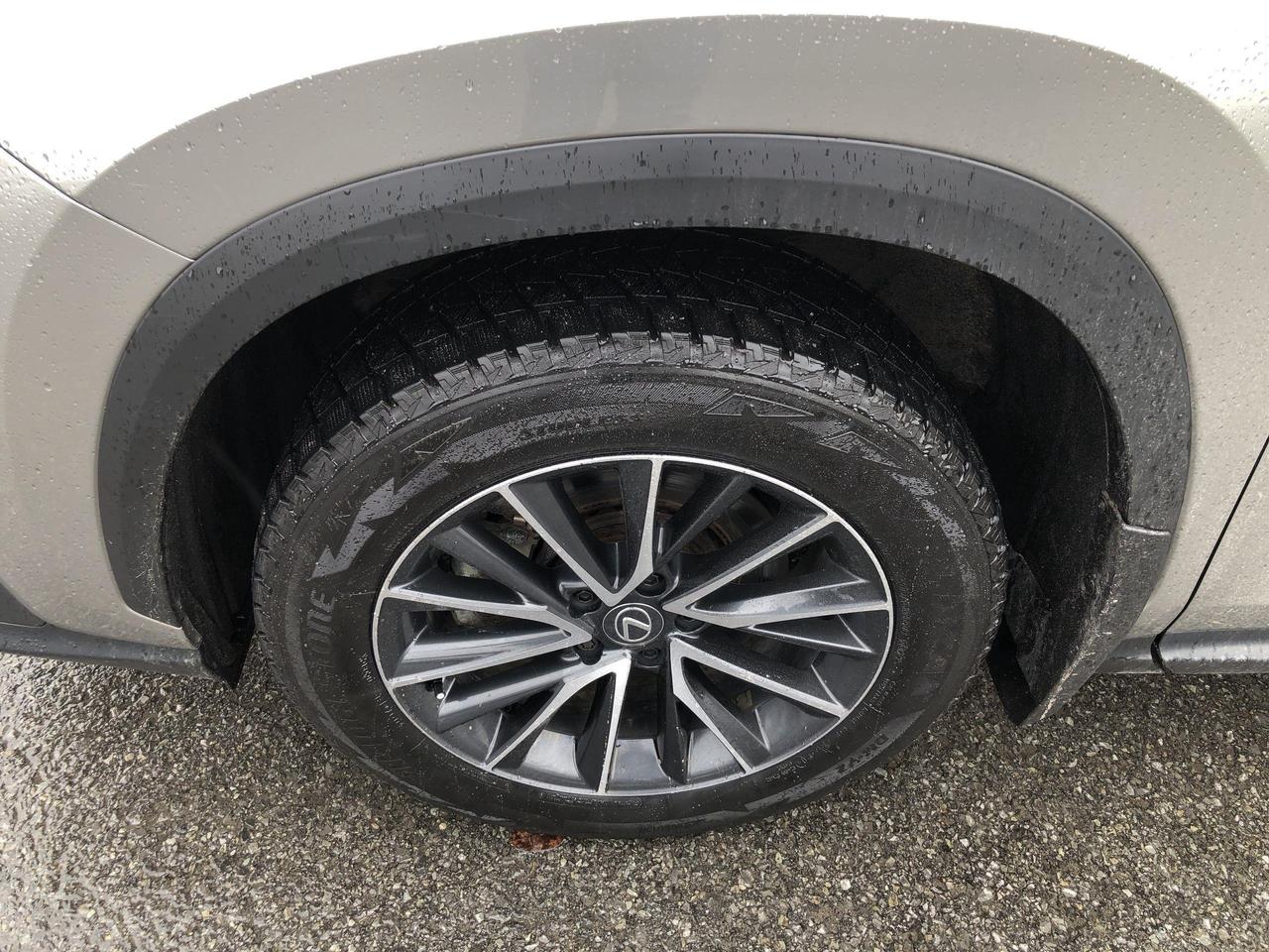 2025 Lexus NX 350h HYBRID, HTD. & VENTED SEATS, SAFE EXIT Photo