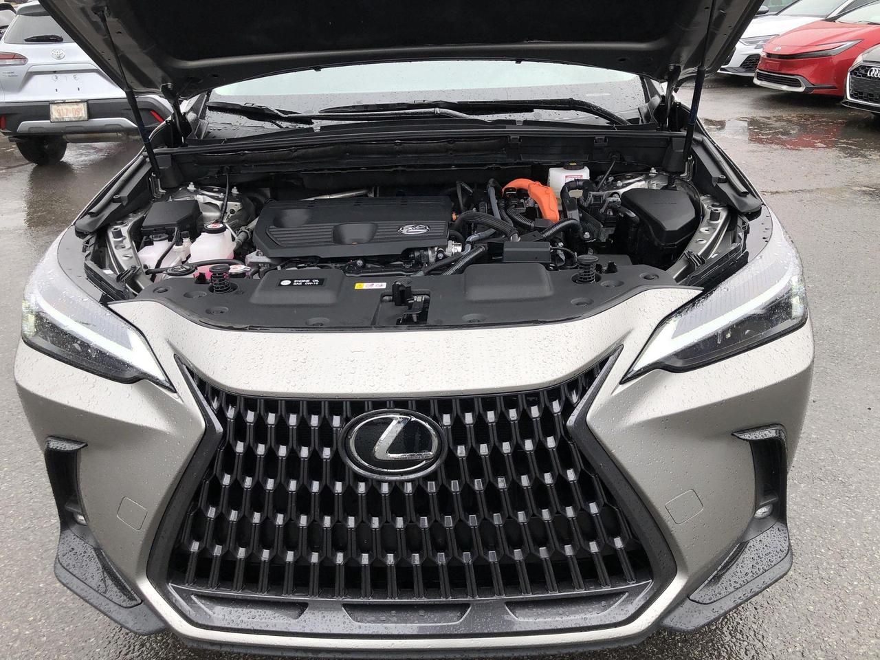 2025 Lexus NX 350h HYBRID, HTD. & VENTED SEATS, SAFE EXIT Photo